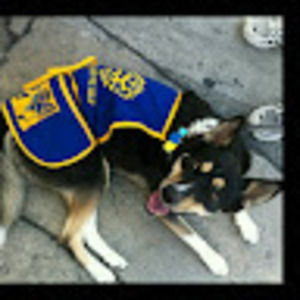 Meet your Posher, Tom